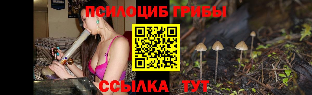 Псилоцибиновые грибы GOLDEN TEACHER  Вход с VPN  Видное 