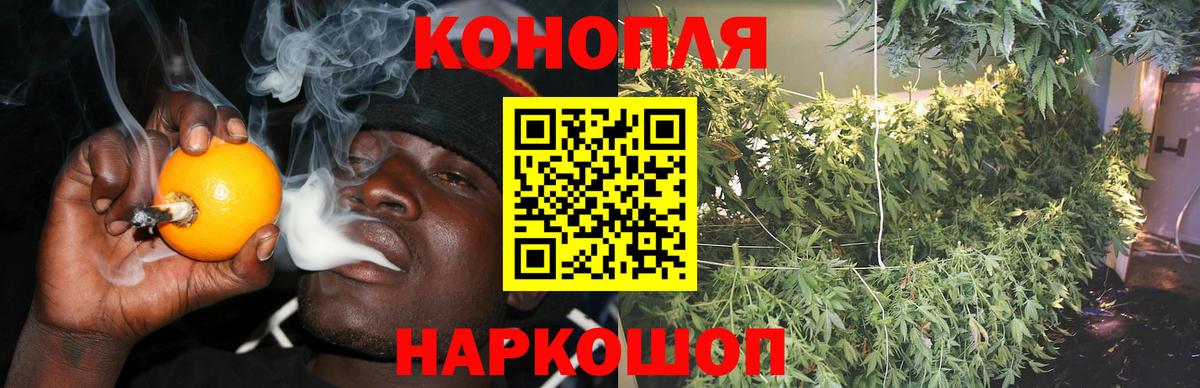 Конопля конопля Видное